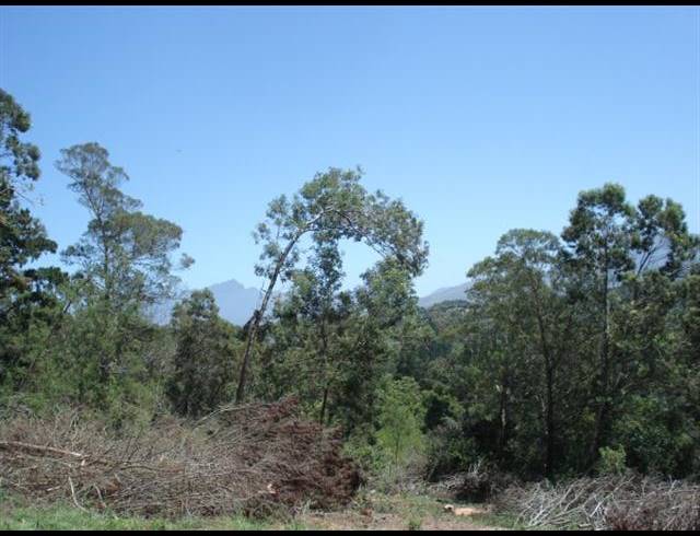 LAND FOR SALE IN WILDERNESS HEIGHTS
